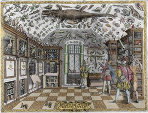 Utsikt över museet (kabinettet) av kuriosa (uppslagsverksmuseum) av apotekaren Ferrante Imperato (1550 - 1631). Gravyr från 1678. Museum för den napolitanska apotekaren Ferrante Imperato. av Unknown artist