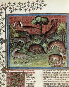 Vi motto vargen och hela dess natur. Miniatyr från Gaston Phoebus (1331-1391) av Gaston III Comte De Foix av Unknown artist
