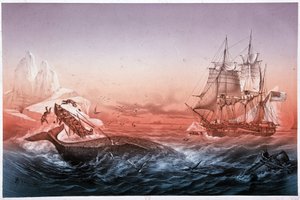 Valfångstfartyget misslyckades med att rädda sina valkapsejsade båtar av Unknown artist