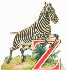Från: Zebra av Unknown artist