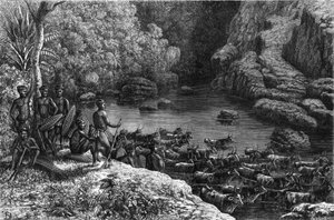 Zulouland i Afrika: eftersom skogen inte erbjuder de nödvändiga resurserna, är zulustammen tvungen att åka ner till slätterna där de odlar och föder upp boskap. Gravyr i "" La Nature"" av Unknown artist