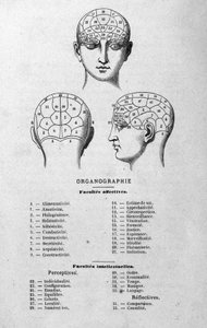 illustration från Charles Rouvins bok från 1873 Organographie La Tête humaine, illustrerade studier av frenologi och fysionomi tillämpade på kända karaktärer Paris 1873 av Unknown artist