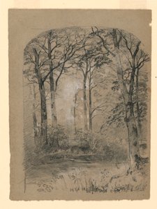 Teckning, studie av skogsmark, 1865-70 av Unknown artistUnknown artist