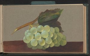 En massa vindruvor av Unknown artist