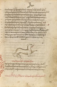 En hund av Unknown artist