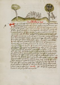 En flock fåglar under ett träd med en kronad örn med en heraldisk blasonering på vingarna av Unknown artist