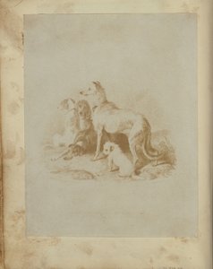 [En grupp om fem hundar] av Unknown artist
