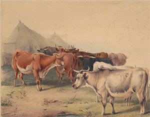 En flock boskap av Unknown artist