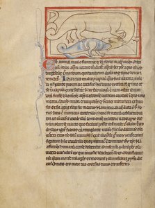 A Hydrus av Unknown artist