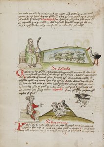 En man med en orm i handen; en kung som talar till en flock duvor av Unknown artist
