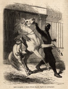 En senegalesisk spahi (kavaljer) i Saint-Louis (Saint Louis). Gravyr för att illustrera en kryssning på Afrikas kust, av viceamiral Fleuriot de Langle, 1868, publicerad i "" Le tour du monde""" 1872, redigerad av Edouard Charton, upplaga Hachette, Paris. av Unknown artist