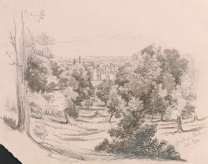 Utsikt över Danbury Park av Unknown artist