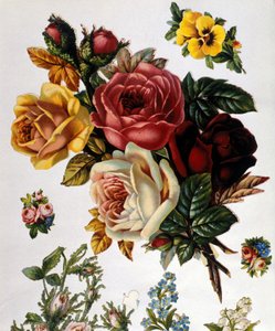 En bukett rosor. 1800-talets kromolitografi. av Unknown artist