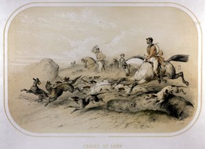 En vargjakt. 1800-talsgravyr. av Unknown artist
