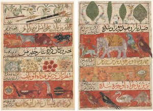 Djur, ädelstenar, mynt och musikinstrument (recto); Djur, fåglar och växter (verso) från en Mu