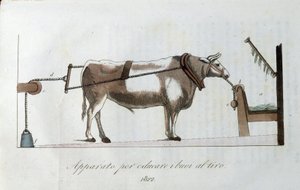 Apparat för att vänja oxar vid linan. Plåt hämtad från "" Journal of agriculture, arts and techniques "" (Revue d