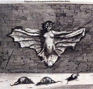 Fladdermöss och råttor. "De China Monumenta" av Athanasius Kircher av Unknown artist
