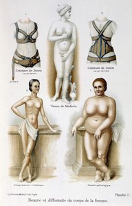 Skönhet och deformitet av kvinnans kropp (mager och fetma); Junos bälten - i "The woman, home doctor"" av Unknown artist