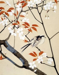 Fågel- och körsbärsträd i blom - japansk teckning av Riou Chim, sent 1800-tal av Unknown artist