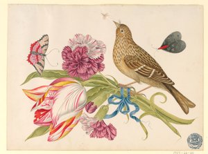 Fågel med tulpan, nejlika, fjärilar och insekter av Unknown artist