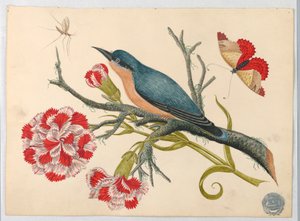 Blå fågel på gren med nejlikor och insekter av Unknown artist