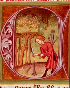 Botanisk: en trädgårdsmästare som utövar en transplantation. Miniatyr hämtad från "The Rustican or Book of Country and Rural Profit" (Rerum ruralium commodorum) av Pietro de Crescenzi (Crescent Stone eller Crescens Stone) (1233-1320) 1300-talets Prag, Nati av Unknown artist