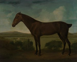 Brun häst i ett kuperat landskap av Unknown artist