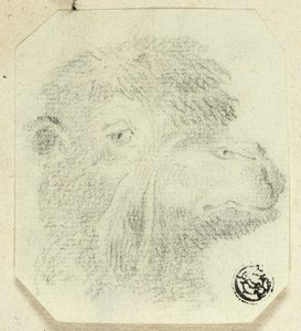 Kamelhuvud vänd åt höger av Unknown artist