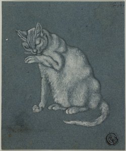 Katt som slickar tass av Unknown artist