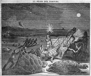 Att fånga sköldpaddor på Kubas kust - gravyr från 1800-talet av Unknown artist