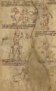 Konstellationsdiagram av Unknown artist
