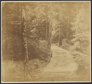 [Corduroy Road på väg till Harper