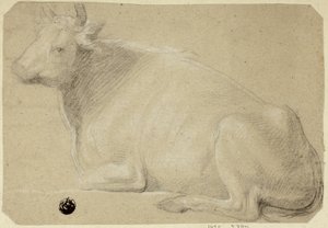 Ko liggande på bakdelen av Unknown artist