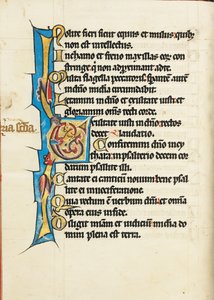 Dekorerad initial E av Unknown artist
