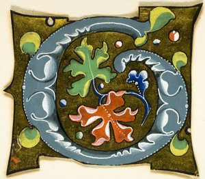 Dekorerad initial "G" i grått med röda, gröna och blå blad från ett manuskript av Unknown artist