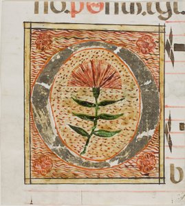 Initialen "O" dekorerad med blommor från ett manuskript av Unknown artist