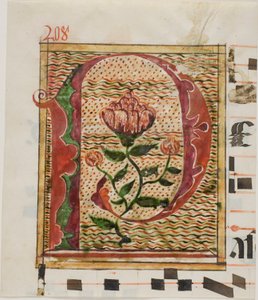 Dekorerad initial "P" med blommor från ett manuskript av Unknown artist