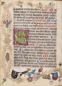 Dekorerat Initial S av Unknown artist