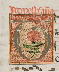 Dekorerad initial "T" med blomma från ett manuskript av Unknown artist