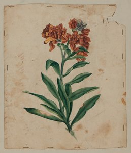 Designritning, tidigt 1700-tal av Unknown artist