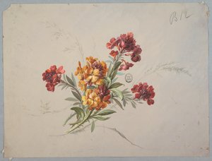 Design för tapeter och textil: Blommor av Unknown artist