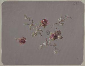 Design för tapeter och textilier: Blommor av Unknown artist