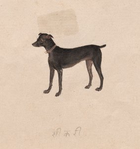 Hund av Unknown artist