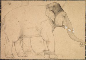 Teckning av en elefant av Unknown artist
