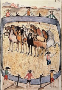Dressyr av vilda hästar, från boken "Trujillo del Peru" eller "Codex Martinez Companion", av Baltazar Martinez Companion och Bujanda, biskop av Trujillo (1782-1785) av Unknown artist