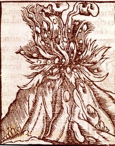 Utbrott av en vulkan. 1500-talsgravyr. av Unknown artist