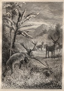 Expedition Around the World (1785-1788) av Jean Francois Galaup de La Perouse (1741-1788): jaktteknik för indianerna i Bay of Monterey (Kalifornien) - illustration från "The Grands Mariners of the 18th century" av Unknown artist