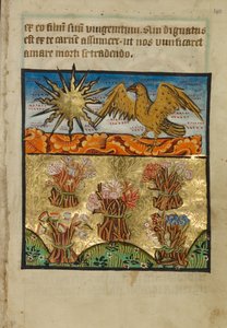 Fem buntar blommor av Unknown artist