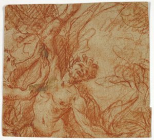 Flåning av Marsyas av Unknown artist