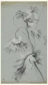 Blommig design av Unknown artist